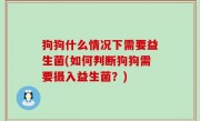 狗狗什么情况下需要益生菌(如何判断狗狗需要摄入益生菌？)