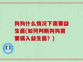 狗狗什么情况下需要益生菌(如何判断狗狗需要摄入益生菌？)
