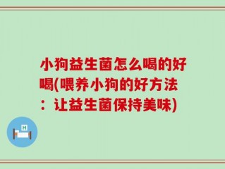 小狗益生菌怎么喝的好喝(喂养小狗的好方法：让益生菌保持美味)