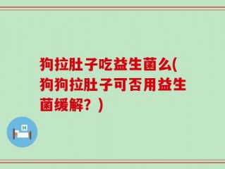 狗拉肚子吃益生菌么(狗狗拉肚子可否用益生菌缓解？)