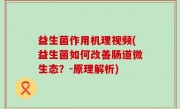 益生菌作用机理视频(益生菌如何改善肠道微生态？-原理解析)
