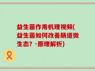 益生菌作用机理视频(益生菌如何改善肠道微生态？-原理解析)