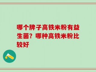 哪个牌子高铁米粉有益生菌？哪种高铁米粉比较好