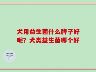 犬用益生菌什么牌子好呢？犬类益生菌哪个好