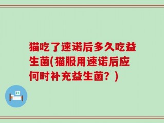 猫吃了速诺后多久吃益生菌(猫服用速诺后应何时补充益生菌？)