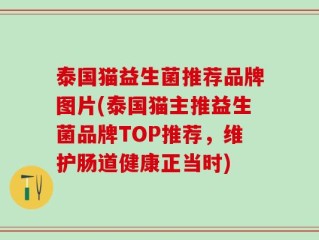 泰国猫益生菌推荐品牌图片(泰国猫主推益生菌品牌TOP推荐，维护肠道健康正当时)