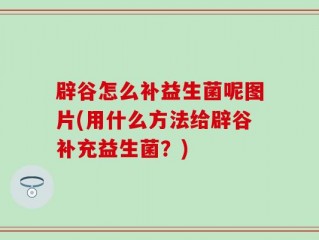辟谷怎么补益生菌呢图片(用什么方法给辟谷补充益生菌？)