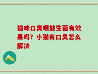 猫咪口臭喂益生菌有效果吗？小猫有口臭怎么解决