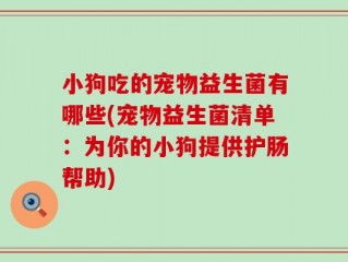 小狗吃的宠物益生菌有哪些(宠物益生菌清单：为你的小狗提供护肠帮助)