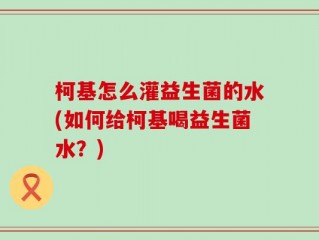 柯基怎么灌益生菌的水(如何给柯基喝益生菌水？)