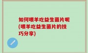 如何喂羊吃益生菌片呢(喂羊吃益生菌片的技巧分享)
