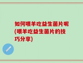 如何喂羊吃益生菌片呢(喂羊吃益生菌片的技巧分享)