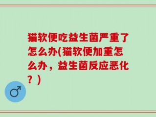 猫软便吃益生菌严重了怎么办(猫软便加重怎么办，益生菌反应恶化？)