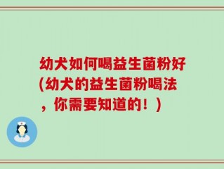 幼犬如何喝益生菌粉好(幼犬的益生菌粉喝法，你需要知道的！)