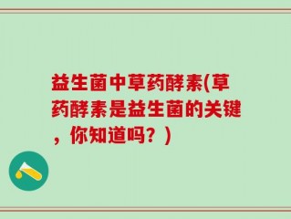 益生菌中草药酵素(草药酵素是益生菌的关键，你知道吗？)