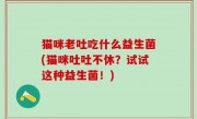 猫咪老吐吃什么益生菌(猫咪吐吐不休？试试这种益生菌！)
