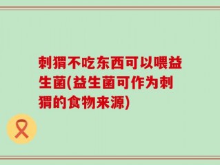 刺猬不吃东西可以喂益生菌(益生菌可作为刺猬的食物来源)