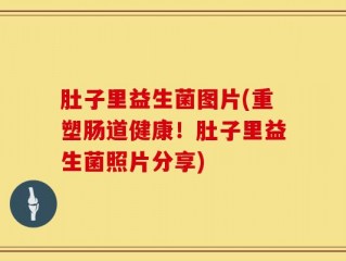 肚子里益生菌图片(重塑肠道健康！肚子里益生菌照片分享)