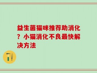 益生菌猫咪推荐助消化？小猫消化不良最快解决方法