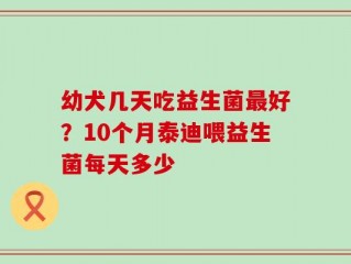 幼犬几天吃益生菌最好？10个月泰迪喂益生菌每天多少