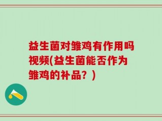 益生菌对雏鸡有作用吗视频(益生菌能否作为雏鸡的补品？)