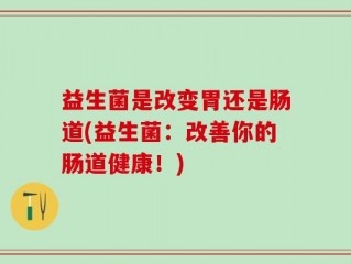 益生菌是改变胃还是肠道(益生菌：改善你的肠道健康！)