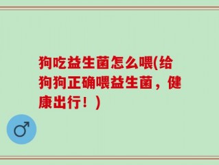 狗吃益生菌怎么喂(给狗狗正确喂益生菌，健康出行！)