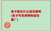 兔子能吃什么益生菌呢(兔子可食用哪些益生菌？)