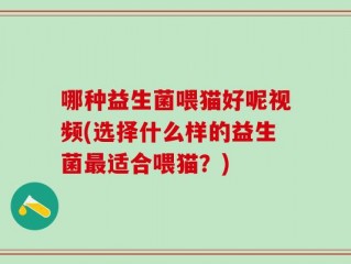 哪种益生菌喂猫好呢视频(选择什么样的益生菌最适合喂猫？)