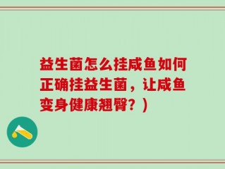 益生菌怎么挂咸鱼如何正确挂益生菌，让咸鱼变身健康翘臀？)