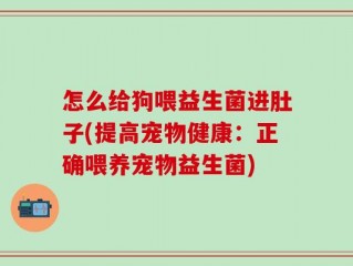 怎么给狗喂益生菌进肚子(提高宠物健康：正确喂养宠物益生菌)