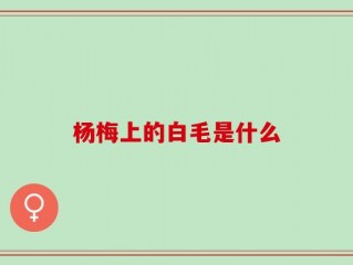 杨梅上的白毛是什么