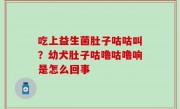 吃上益生菌肚子咕咕叫？幼犬肚子咕噜咕噜响是怎么回事