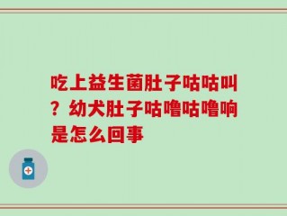 吃上益生菌肚子咕咕叫？幼犬肚子咕噜咕噜响是怎么回事