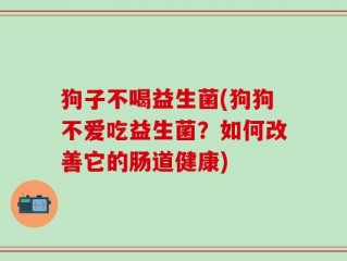 狗子不喝益生菌(狗狗不爱吃益生菌？如何改善它的肠道健康)
