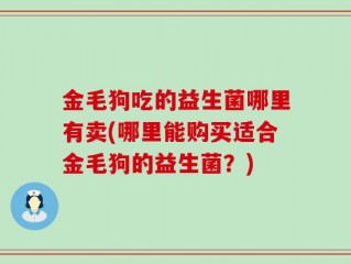 金毛狗吃的益生菌哪里有卖(哪里能购买适合金毛狗的益生菌？)