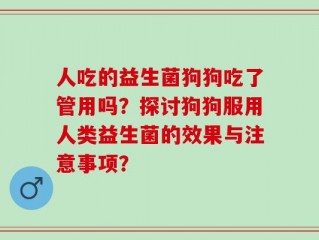 人吃的益生菌狗狗吃了管用吗？探讨狗狗服用人类益生菌的效果与注意事项？