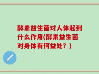 酵素益生菌对人体起到什么作用(酵素益生菌对身体有何益处？)