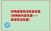 动物威洛特活性益生菌(动物体内益生菌——威洛特活性菌)