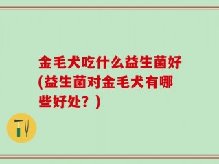 金毛犬吃什么益生菌好(益生菌对金毛犬有哪些好处？)