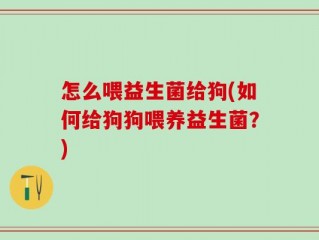 怎么喂益生菌给狗(如何给狗狗喂养益生菌？)