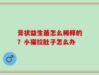 膏状益生菌怎么稀释的？小猫拉肚子怎么办