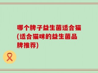 哪个牌子益生菌适合猫(适合猫咪的益生菌品牌推荐)