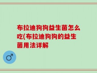 布拉迪狗狗益生菌怎么吃(布拉迪狗狗的益生菌用法详解