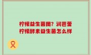 柠檬益生菌图？润芭蕾柠檬酵素益生菌怎么样