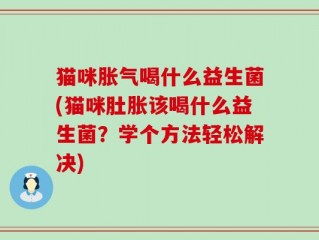 猫咪胀气喝什么益生菌(猫咪肚胀该喝什么益生菌？学个方法轻松解决)