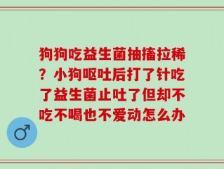 狗狗吃益生菌抽搐拉稀？小狗呕吐后打了针吃了益生菌止吐了但却不吃不喝也不爱动怎么办