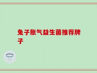 兔子胀气益生菌推荐牌子