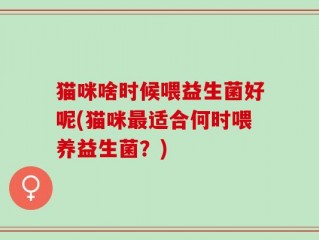 猫咪啥时候喂益生菌好呢(猫咪最适合何时喂养益生菌？)