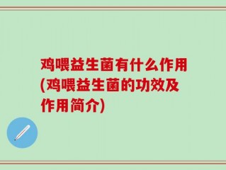 鸡喂益生菌有什么作用(鸡喂益生菌的功效及作用简介)